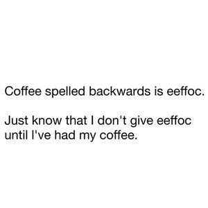 Meet your Posher, Rose